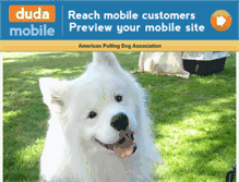 Tablet Screenshot of apdasports.com
